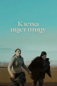 Кᴧeтka uщeт птuцy